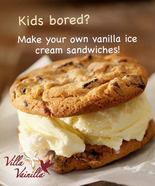 Vanilla Ice Cream Sandwiches