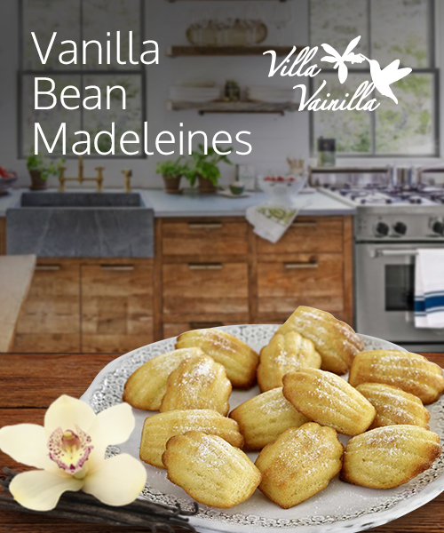 Vainilla Bean Madeleines