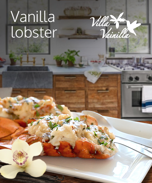 Vanilla Lobster