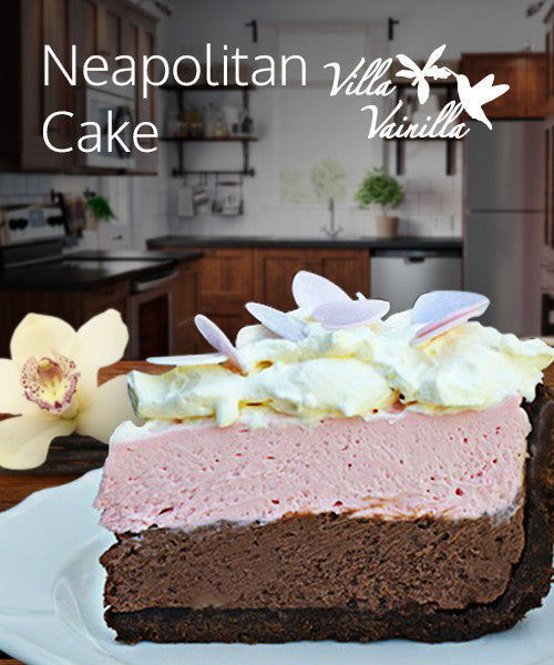 MEXICAN NEAPOLITAN CAKE